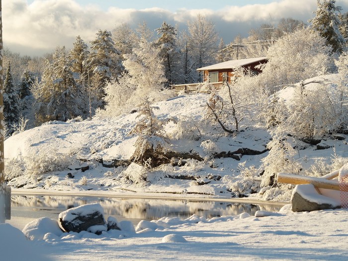 Snowy landscape with a house and trees by the water