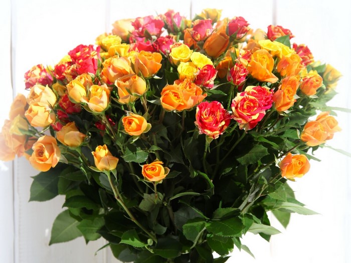 Bouquet of colorful roses