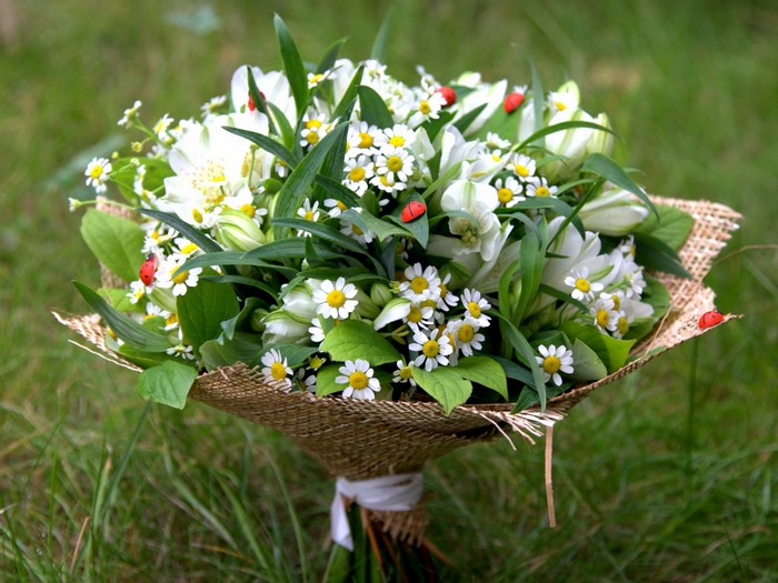 Bouquet of white flowers and camomiles with ladybugs