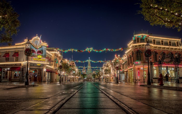Christmas Tree and Lights on Main Street, USA at Night
