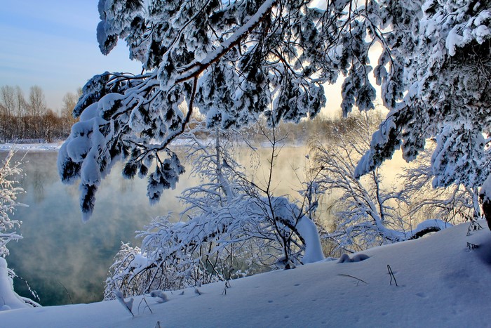 Snow-covered branches over a misty river in winter