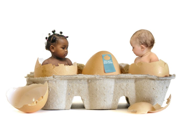 Babies in eggshells in an egg carton