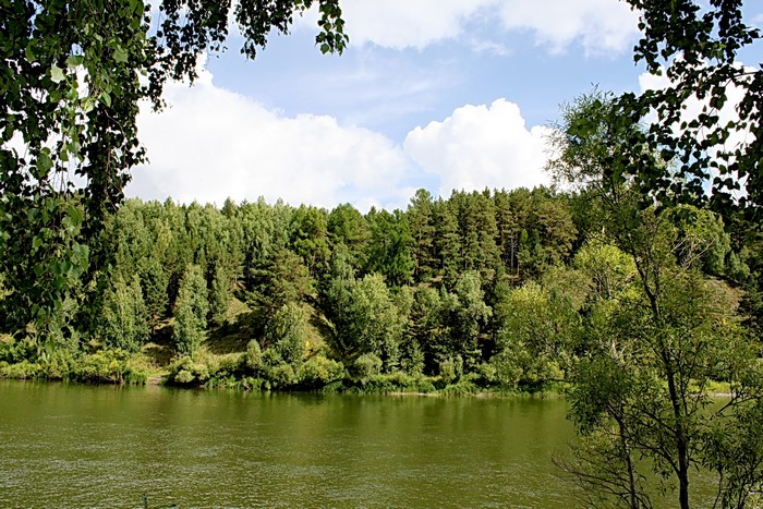 River and forest landscape with trees in foreground