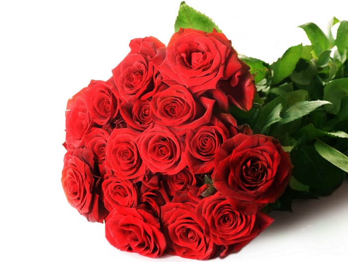Bouquet of Red Roses