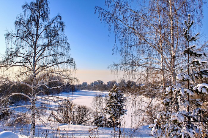 Snowy winter landscape with trees and frozen lake