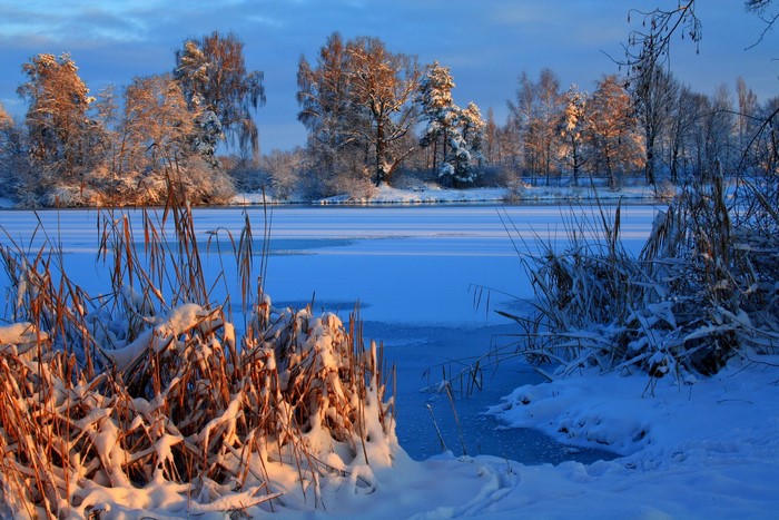 Winter landscape with frozen river and snow-covered trees