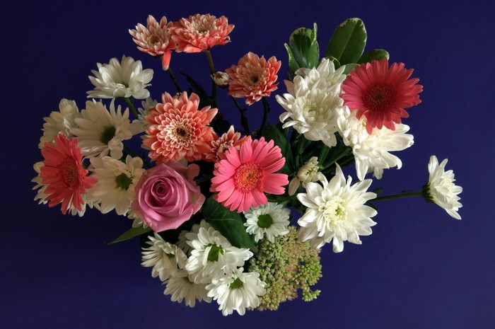 Bouquet of flowers