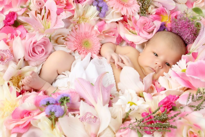 Infant surrounded by pink and white flowers