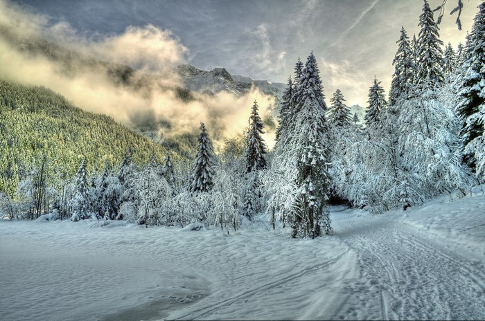 Snowy forest trail with mountains and clouds