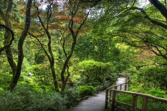 Butchart Gardens Victoria Canada Trees and Stairs