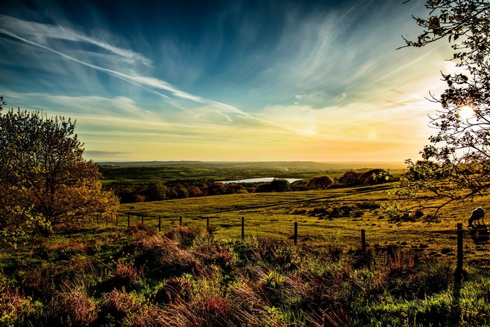 4K HDR Grasslands in England at Sunset