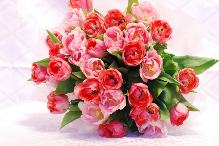 Pink and red tulips bouquet