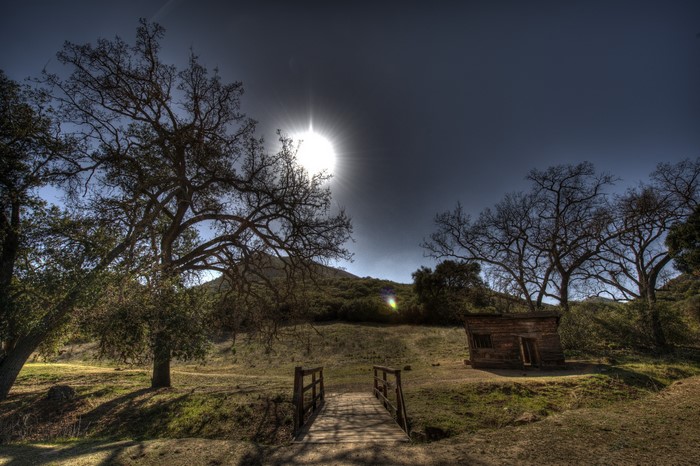 Wooden bridge and cabin in a sunny landscape with trees