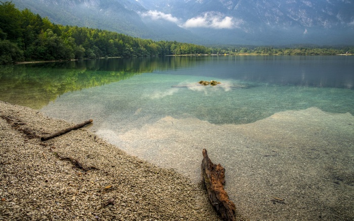 Lake Bohinj with mountains and forest