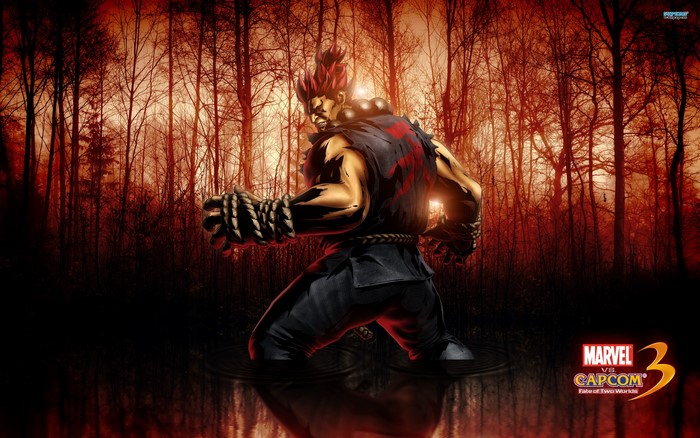 Akuma from Marvel vs Capcom 3