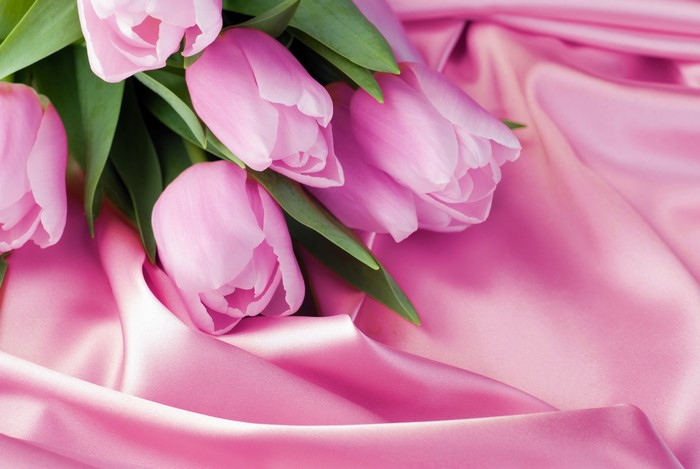 Pink Tulips on Pink Silk Fabric