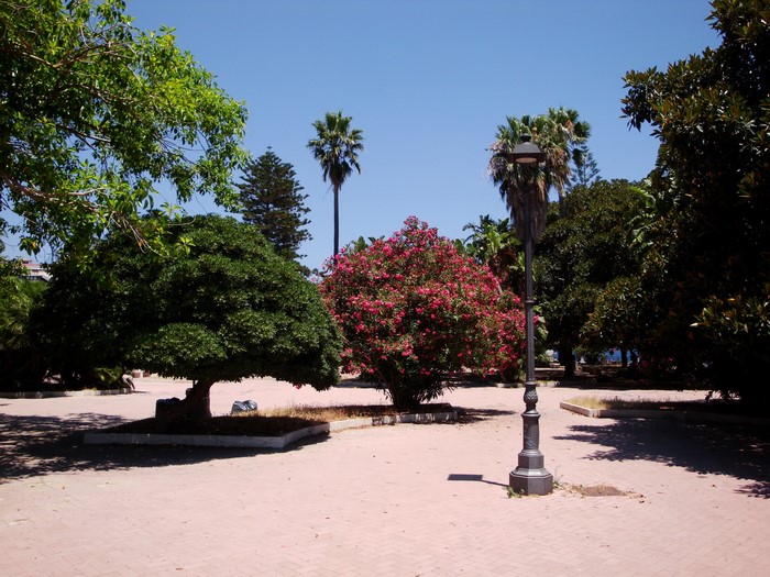 Park with trees and pavement in Italy