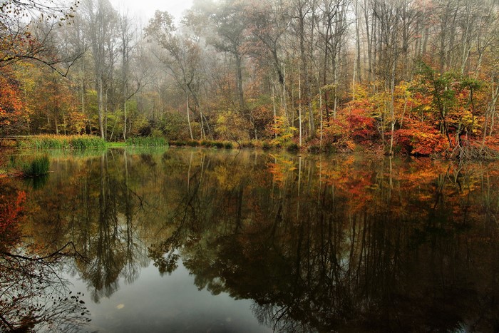 Autumn forest reflected in a calm lake