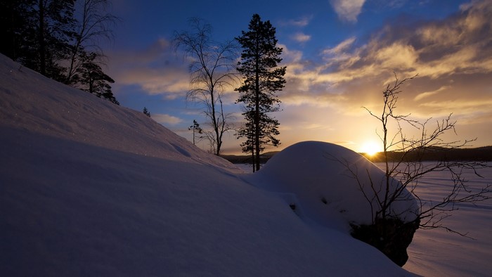 Winter sunset over a snowy landscape with trees