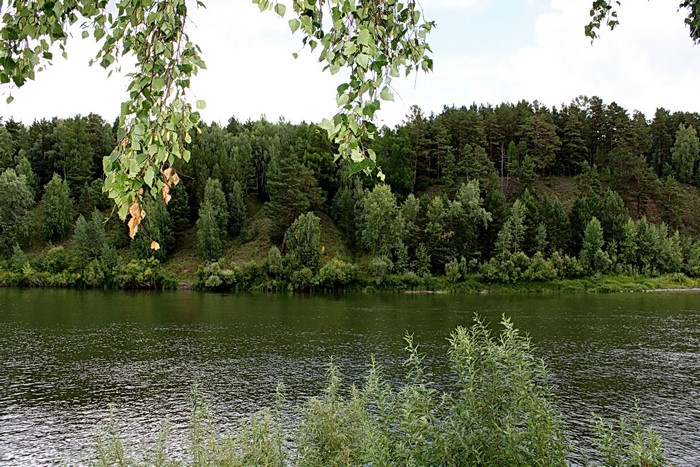 River flowing past a forested hill with trees in foreground