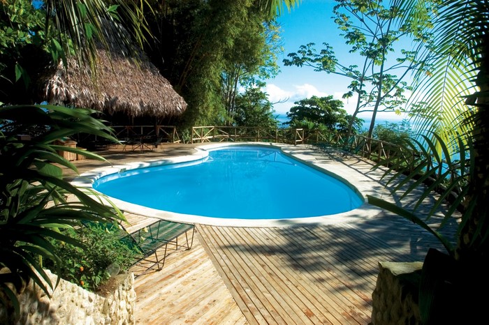 Swimming pool with thatched roof hut and ocean view