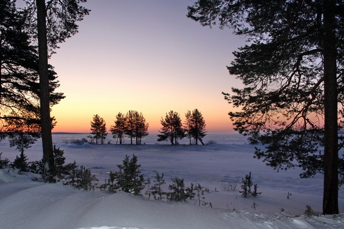 Winter sunset over a frozen landscape with pine trees