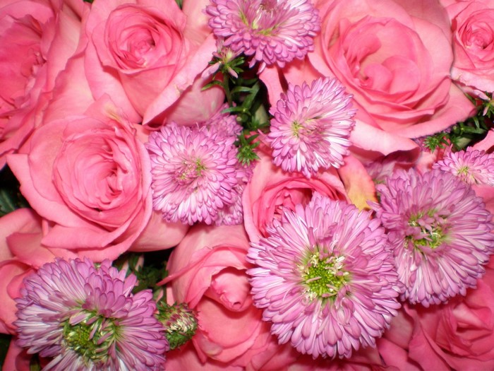 Pink Roses and Asters Bouquet