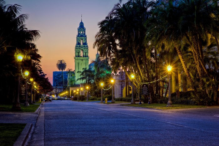 Street lights and palm trees at dusk in San Diego, California