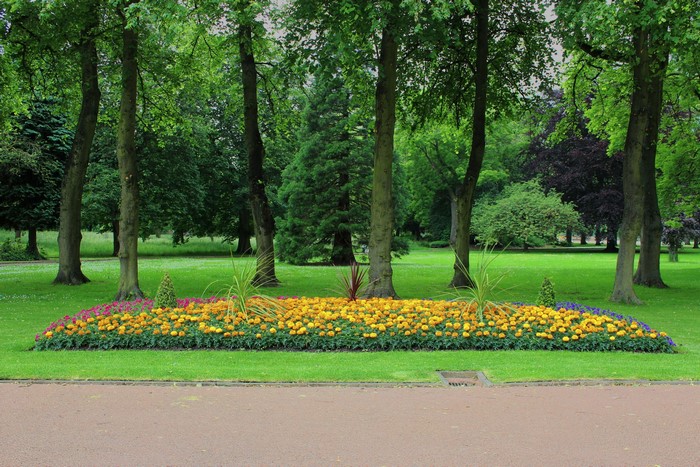 Flower bed in a park with trees