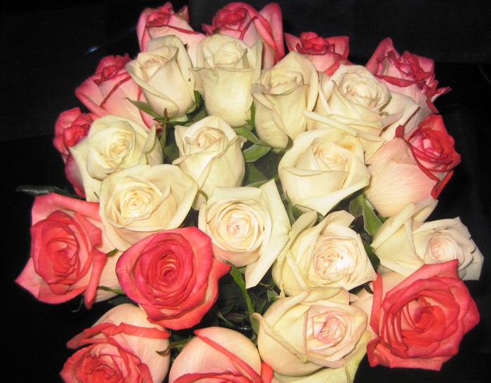 Bouquet of white and pink roses