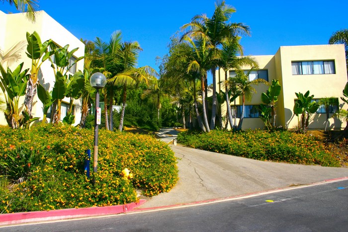Apartment buildings with palm trees and flowers in Malibu, California