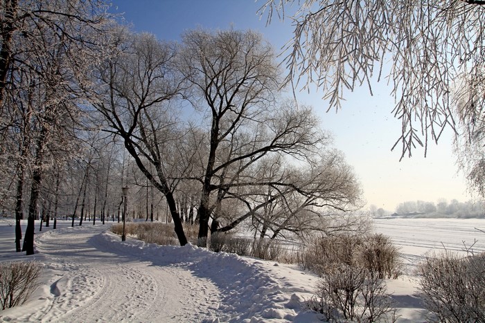 Winter park with snow-covered trees and a path