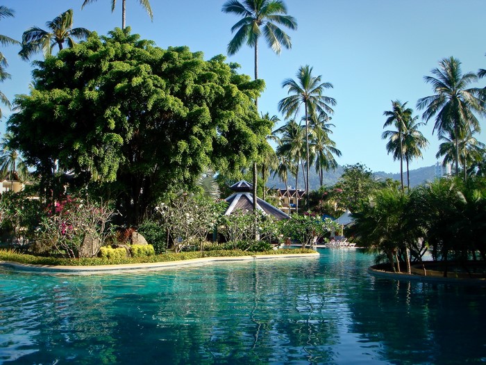 Resort swimming pool with palm trees and lush greenery