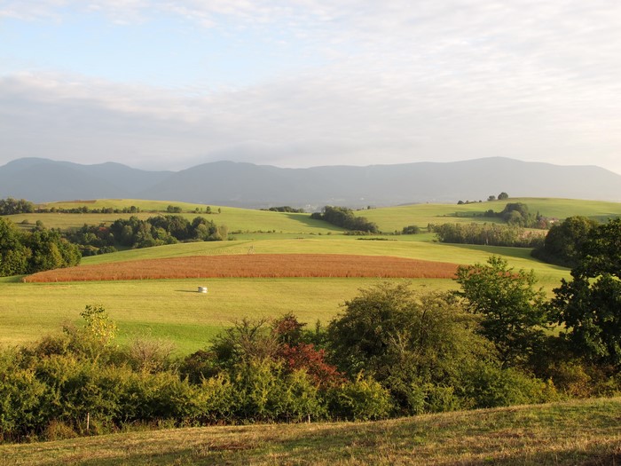 Rolling green fields and hills in Kozlovice, Czech Republic