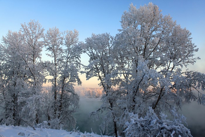 Trees covered in frost by a misty river at sunrise