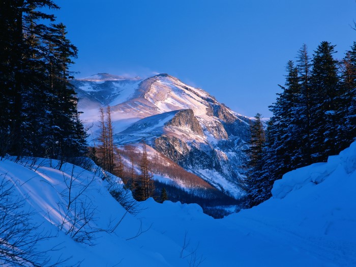 Snowy Mountains and Forest in Winter