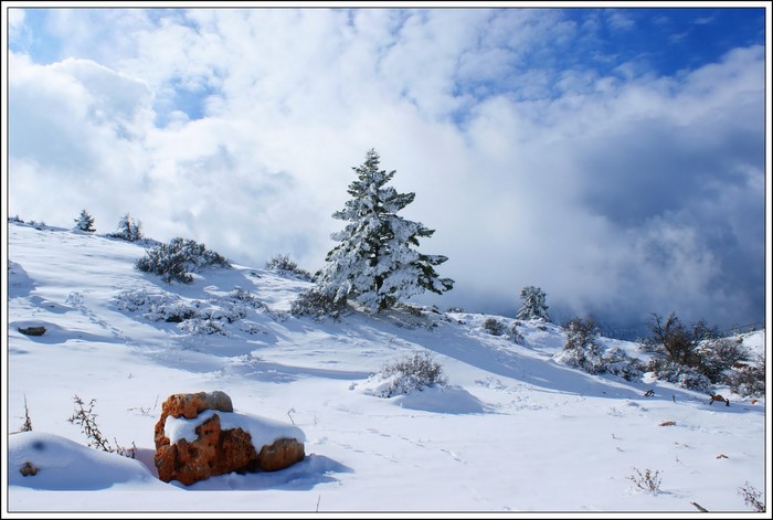 Snowy mountain landscape with pine trees and clouds