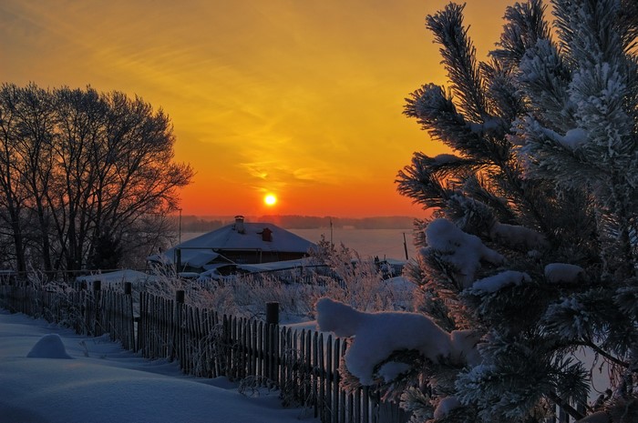 Winter sunrise over a snowy village with a pine tree
