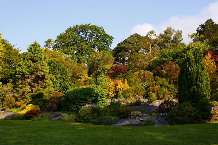 Muckross Gardens in Ireland with lush greenery and trees