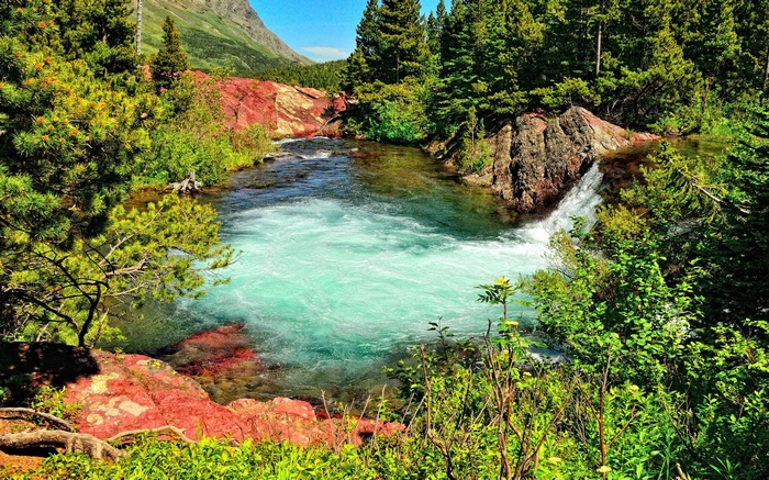 Turquoise river flowing through a forest with red rocks
