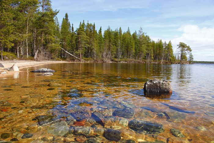 Clear lake water with rocks and a forest shoreline