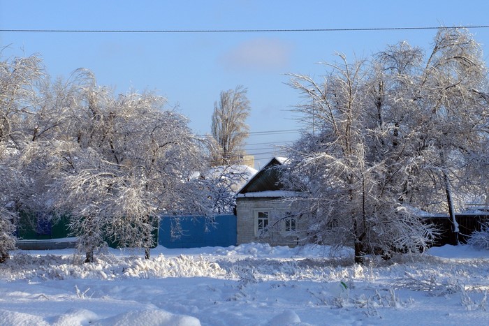 Winter scene with snow-covered trees and a house
