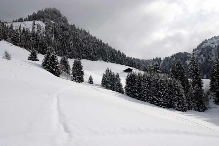 Snowy mountain landscape with trees and a cabin in Switzerland