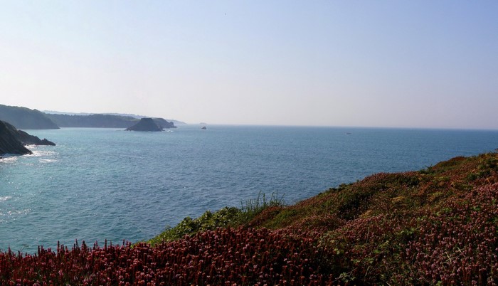 Coastline with cliffs and sea in Aquitaine, France