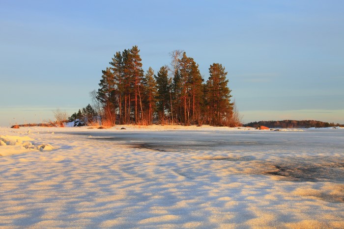 Winter island with pine trees on frozen lake