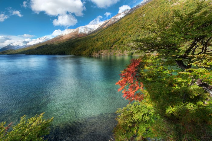Lake and snow-capped mountains in Argentina