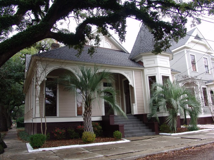 Houses with palm trees in Alabama, USA