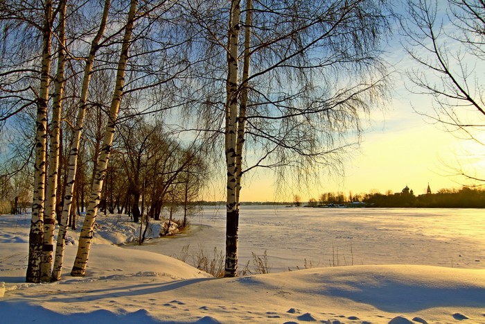 Winter scene with birch trees and frozen river
