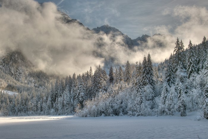 Snow-covered forest and mountains with clouds