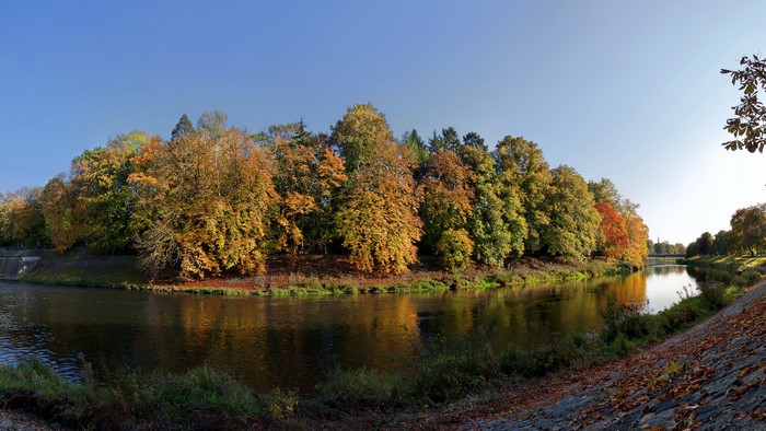 River and autumn trees in the Czech Republic